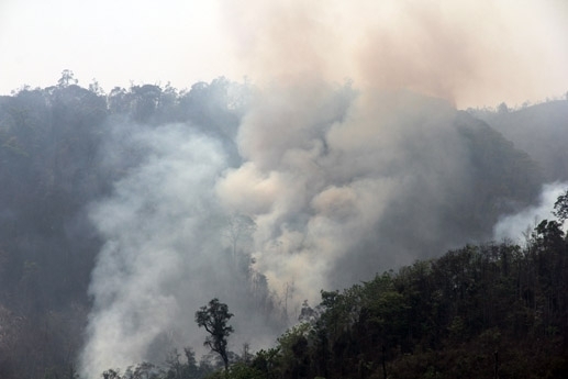 Nghệ An Cháy rừng ở Kỳ Sơn 104ha cây cối bị thiêu 
