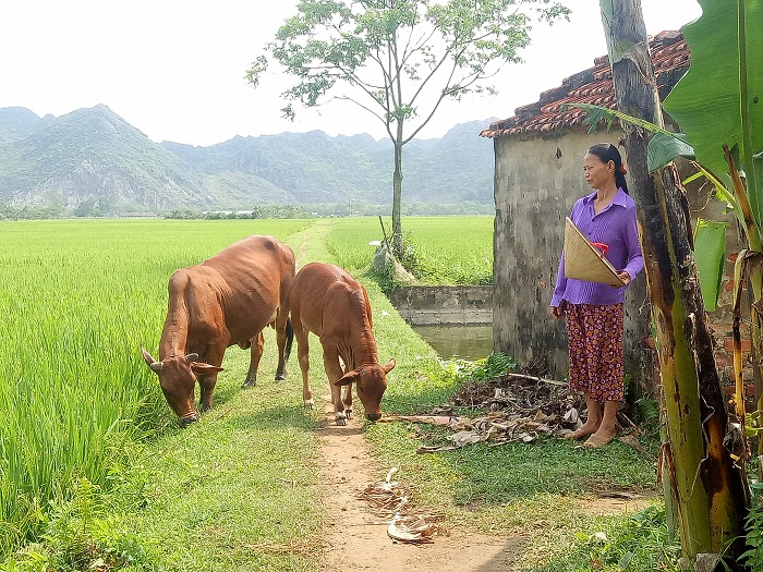 Những bệnh nhân ung thư nghèo vùng đất Thanh Hóa u