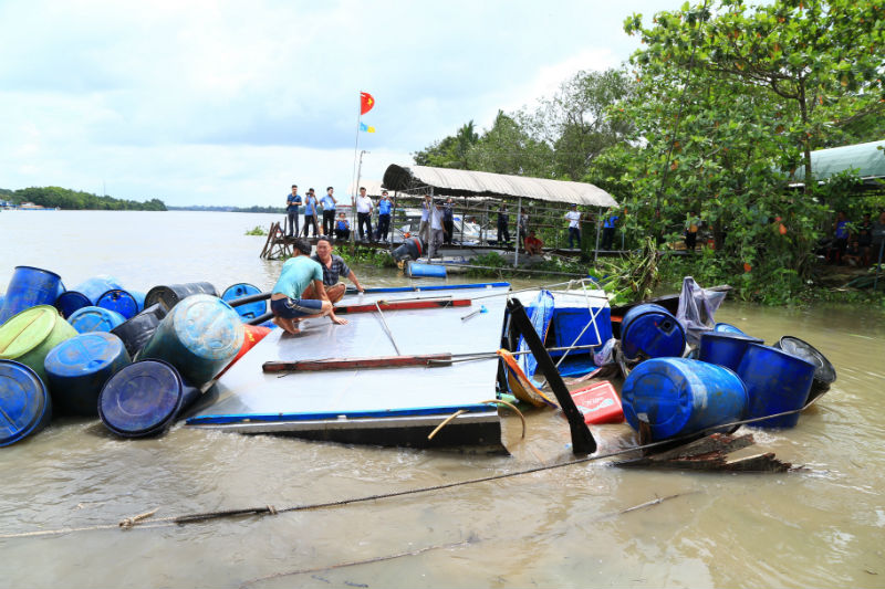 chim-tau-o-binh-duong