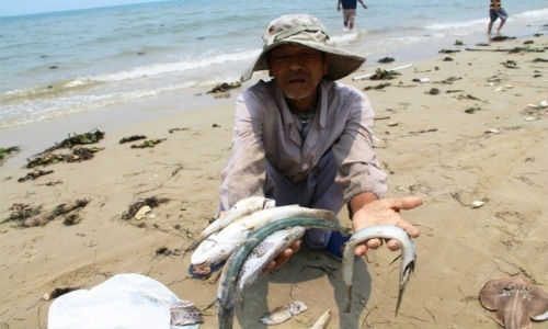 khoanh-no-sau-su-co-moi-truong-bien-mien-trung