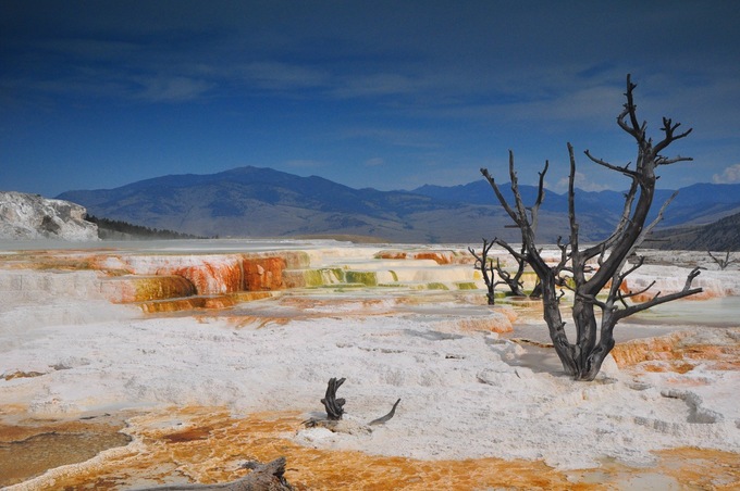 Mammoth-Hot-Springs-Terraces-1375866062_680x0