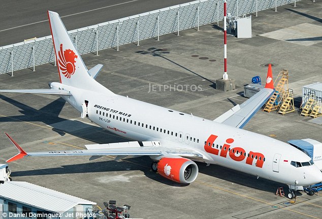 51BFEBD400000578-6331473-The_Lion_Air_aircraft_cra