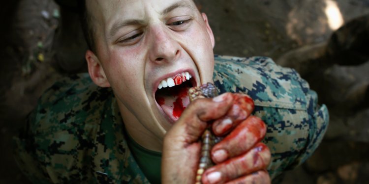 Lính thủy quân lục chiến Mỹ học cách uống máu rắn 