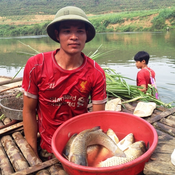 Cá- trên- sông- Bưởi- lại- tiếp- tục- chết (2)