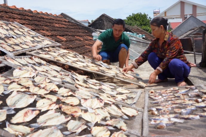 cá-chết-ở-vịnh-đảo-ngọc (2)