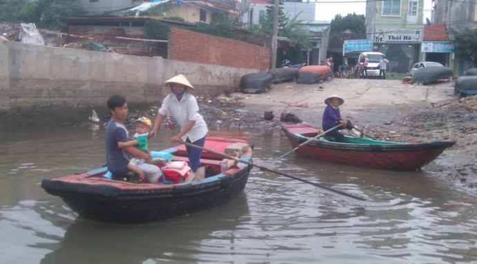 Những- bông- hồng- vất- vả- mưu -sinh- trên- cửa- 