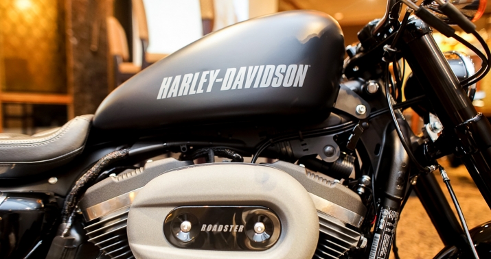Harley Davidson  (8)