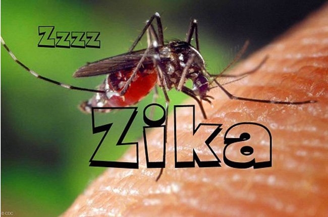 zika1
