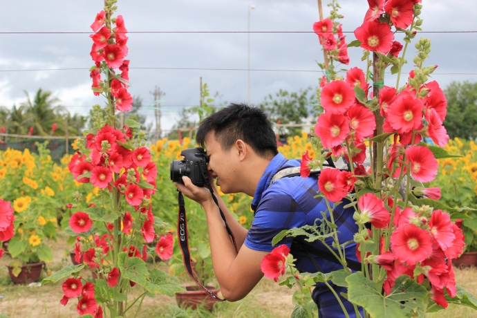 nam-thanh-nu-tu-do-sac-tai-vuong-hoa-huong-duong-o