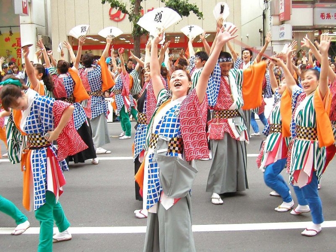 hoa-anh-dao-duoc-trung-bay-trong-le-hoi-hanami-tai