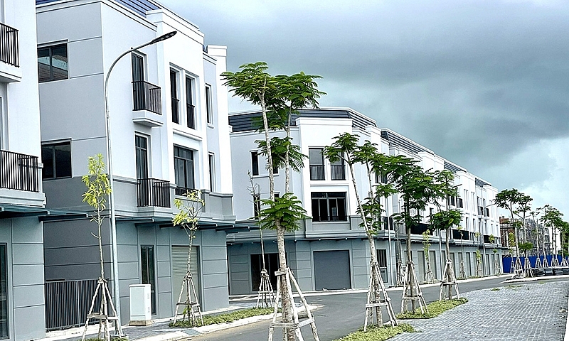 Dãy nhà liên kế ba tầng giai đoạn 2 khu đô thị Tây Sông Hậu Diamond City An Giang với cây xanh vỉa hè