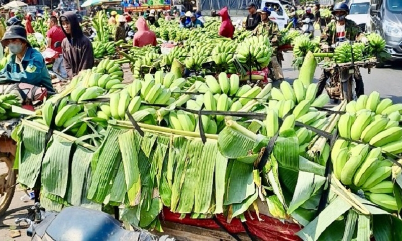 Hướng Hóa (Quảng Trị): Đề nghị bổ sung chợ chuối lớn nhất vào quy hoạch