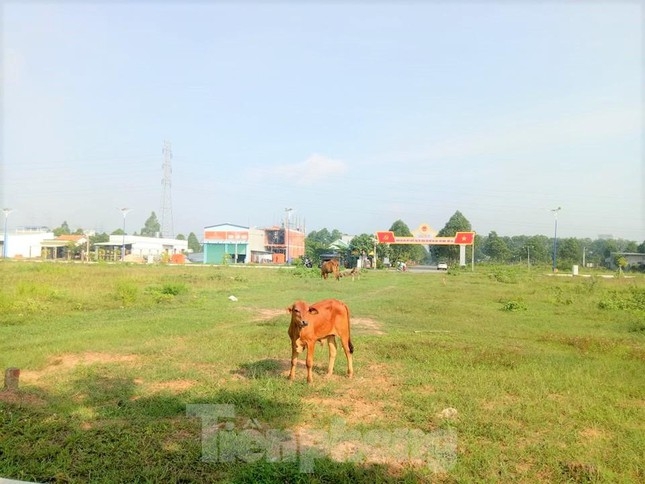 du an nha o dai nam tung muon hien 127 lo dat nhung khong ai nhan gio ra sao