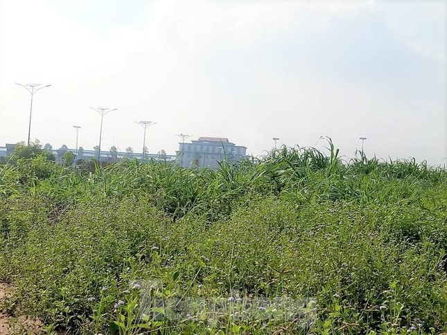 du an nha o dai nam tung muon hien 127 lo dat nhung khong ai nhan gio ra sao