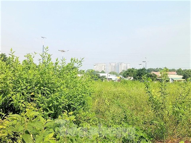 du an nha o dai nam tung muon hien 127 lo dat nhung khong ai nhan gio ra sao