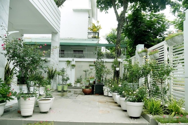 chiem nguong nha vuon bac ty rau trai xum xue hoa no bon mua cua sao viet