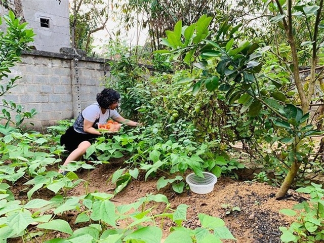 chiem nguong nha vuon bac ty rau trai xum xue hoa no bon mua cua sao viet