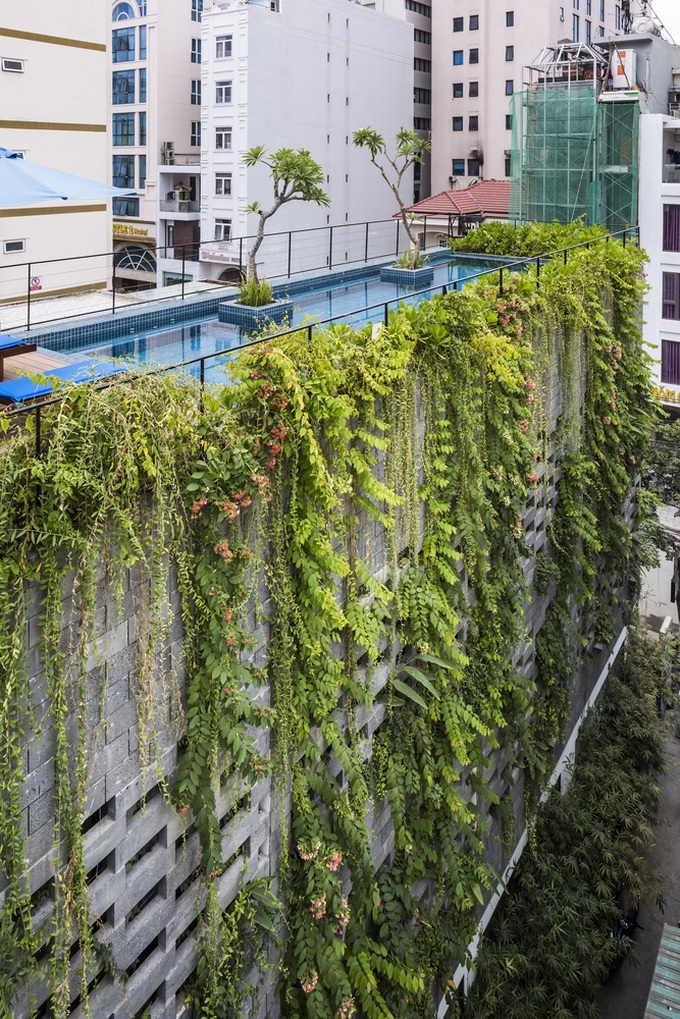 ngam ngoi nha da ong doc la nhu vuon treo babylon o da nang