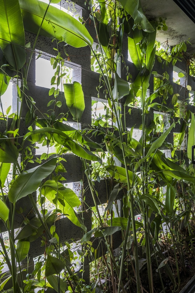 ngam ngoi nha da ong doc la nhu vuon treo babylon o da nang