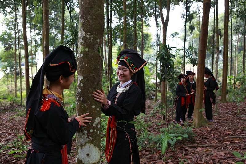 vung dat cao son ngoc que vuon minh