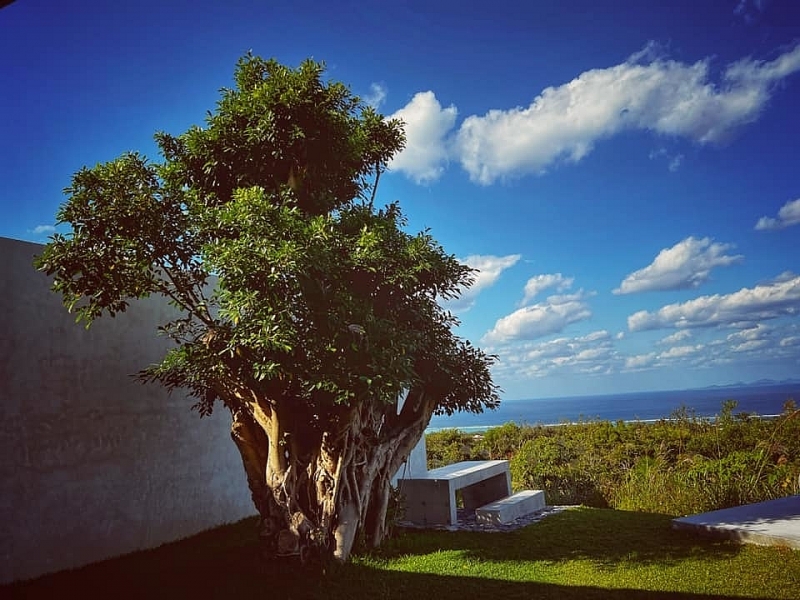 ngoi nha la lung ben bo bien bon huong la cua nhin tu tren nhu mai rua