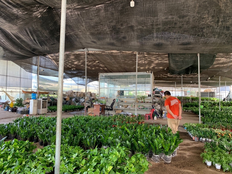 Văn Giang (Hưng Yên): Cận cảnh mảnh đất “vàng” bị chính quyền cho thuê trái quy định pháp luật van giang hung yen can canh manh dat vang bi chinh quyen cho thue trai quy dinh phap luat