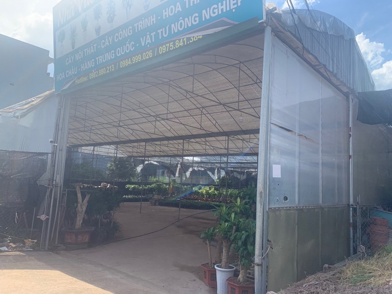 Văn Giang (Hưng Yên): Cận cảnh mảnh đất “vàng” bị chính quyền cho thuê trái quy định pháp luật van giang hung yen can canh manh dat vang bi chinh quyen cho thue trai quy dinh phap luat
