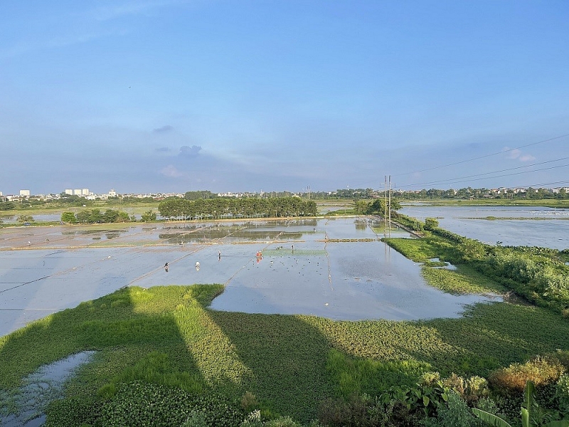 chuyen muc dich su dung dat de thuc hien du an cum cong nghiep quang khanh