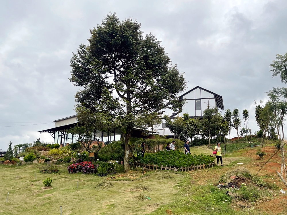 can xem xet danh gia va dinh huong dung viec nhan dan tu phat xay dung nha o nong thon tai tinh lam dong noi chung va huyen bao lam noi rieng