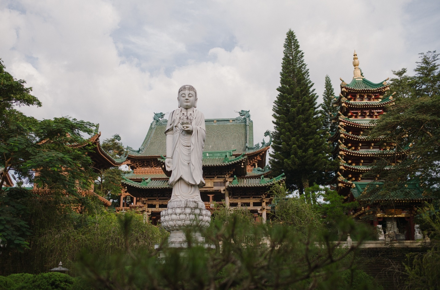 Ngôi chùa kiến trúc độc đáo, khuôn viên xanh mát nổi tiếng nhất Gia Lai ngoi chua kien truc doc dao khuon vien xanh mat noi tieng nhat gia lai