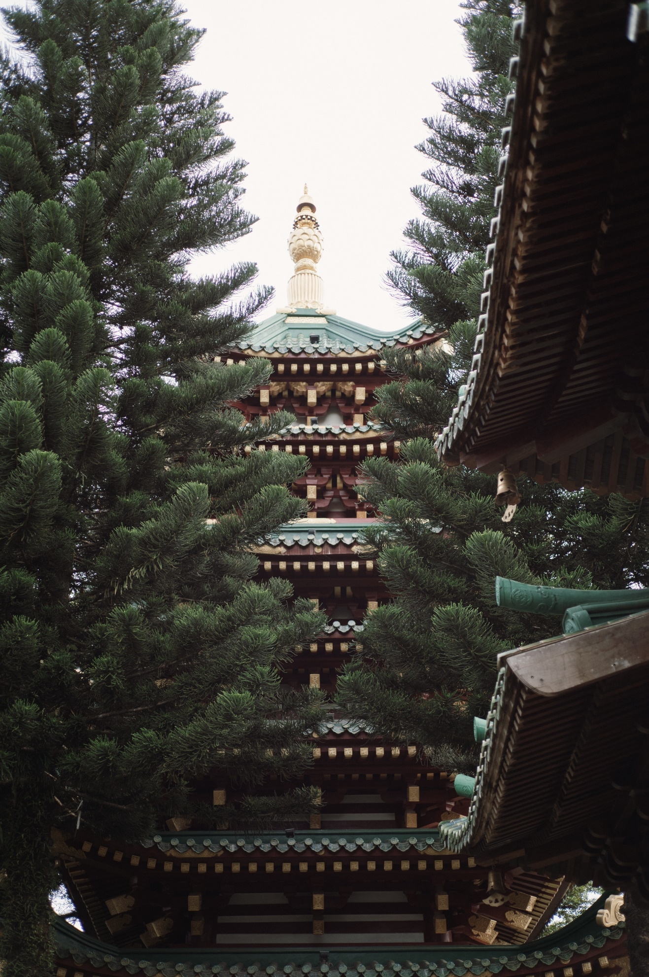 Ngôi chùa kiến trúc độc đáo, khuôn viên xanh mát nổi tiếng nhất Gia Lai ngoi chua kien truc doc dao khuon vien xanh mat noi tieng nhat gia lai