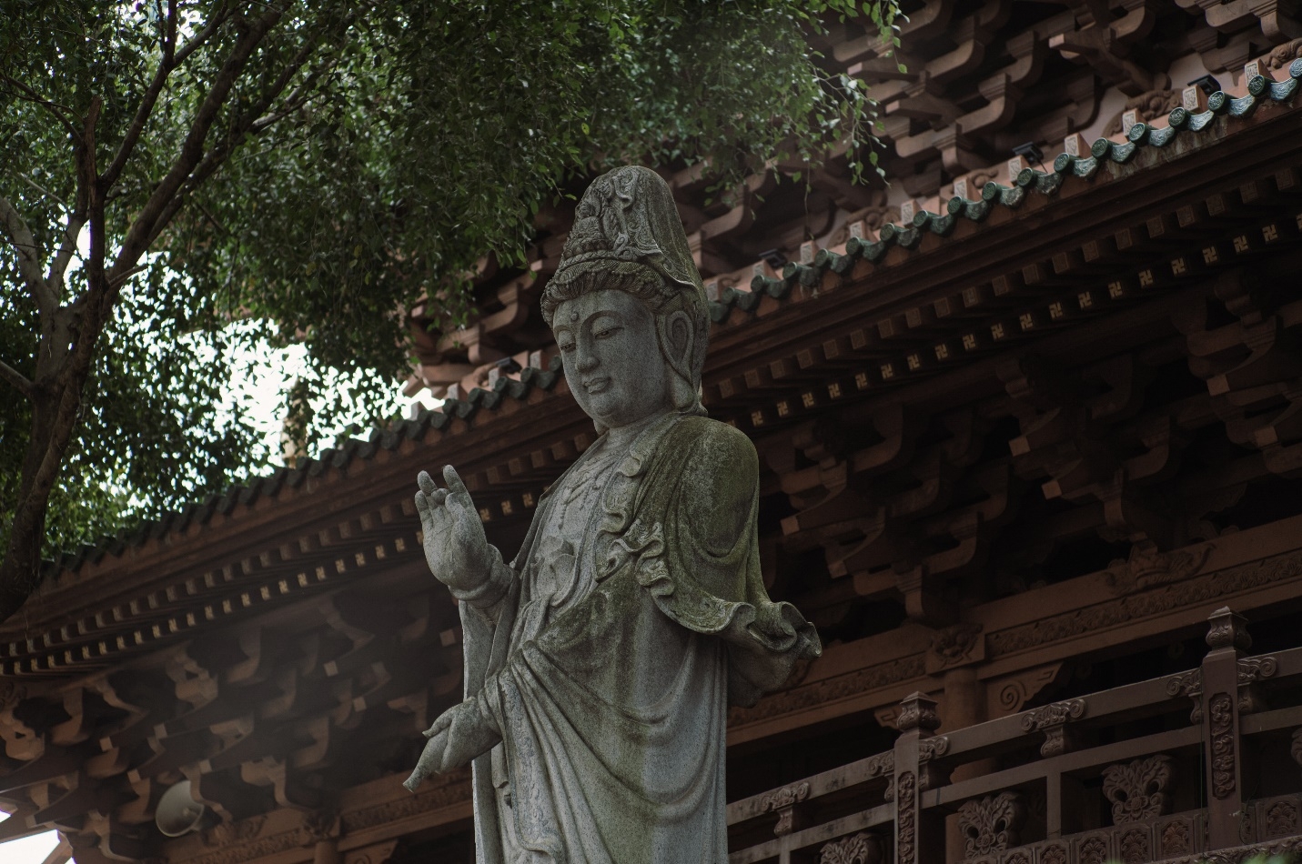 ngoi chua kien truc doc dao khuon vien xanh mat noi tieng nhat gia lai