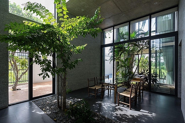 6 y tuong tuyet voi xay dung ngoi nha tran ngap cay xanh giua long do thi