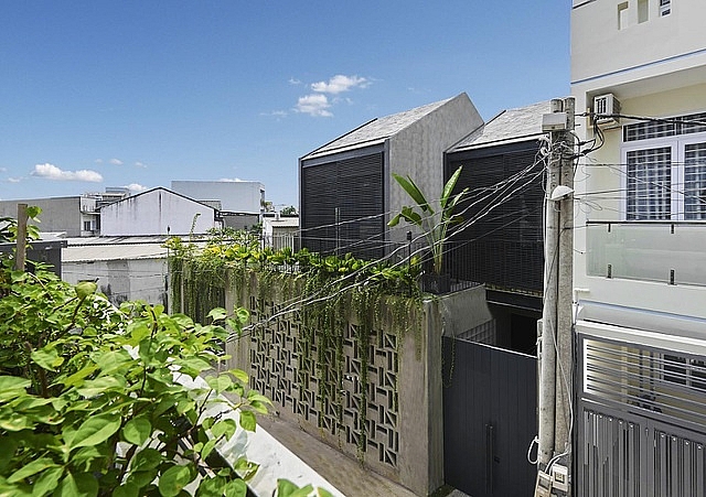 6 y tuong tuyet voi xay dung ngoi nha tran ngap cay xanh giua long do thi