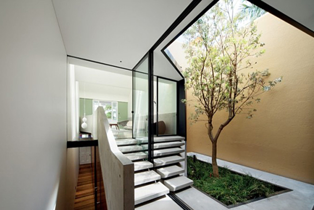 6 y tuong tuyet voi xay dung ngoi nha tran ngap cay xanh giua long do thi