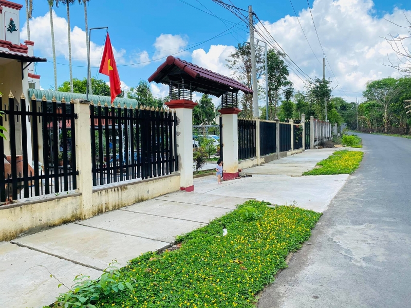 Chốn đi về rộng 6000m2 ở Vũng Tàu của cặp vợ chồng 8X chon di ve rong 6000m2 o vung tau cua cap vo chong 8x