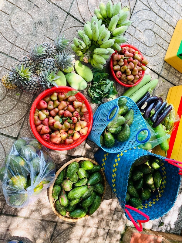 Chốn đi về rộng 6000m2 ở Vũng Tàu của cặp vợ chồng 8X chon di ve rong 6000m2 o vung tau cua cap vo chong 8x