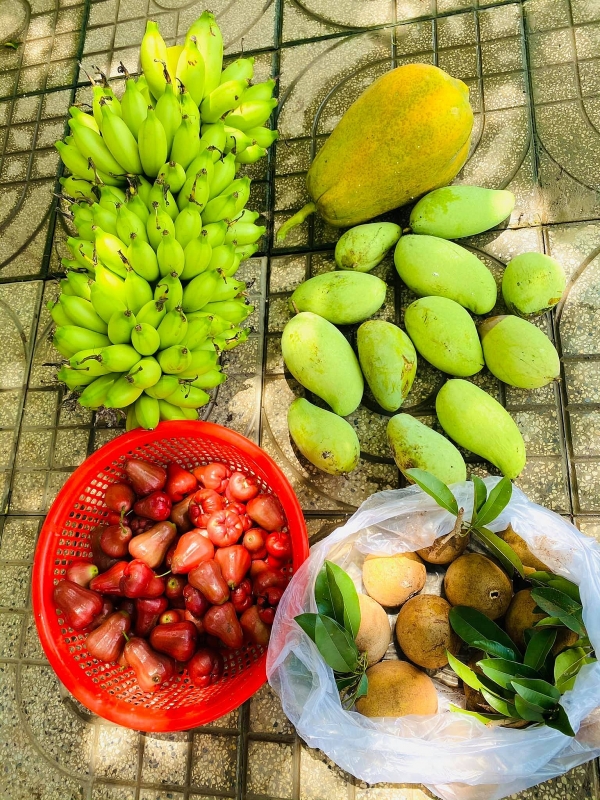 Chốn đi về rộng 6000m2 ở Vũng Tàu của cặp vợ chồng 8X chon di ve rong 6000m2 o vung tau cua cap vo chong 8x