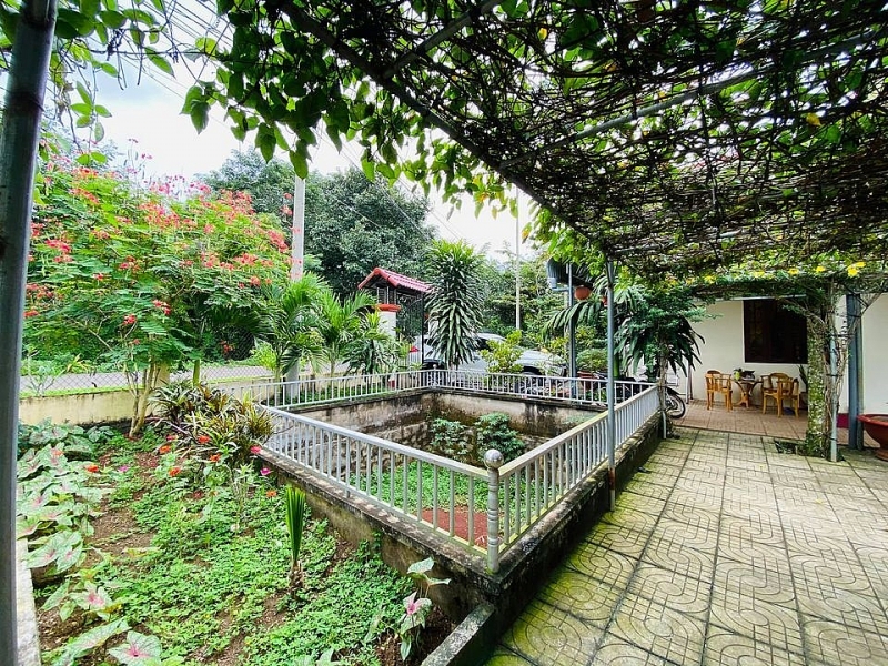 Chốn đi về rộng 6000m2 ở Vũng Tàu của cặp vợ chồng 8X chon di ve rong 6000m2 o vung tau cua cap vo chong 8x