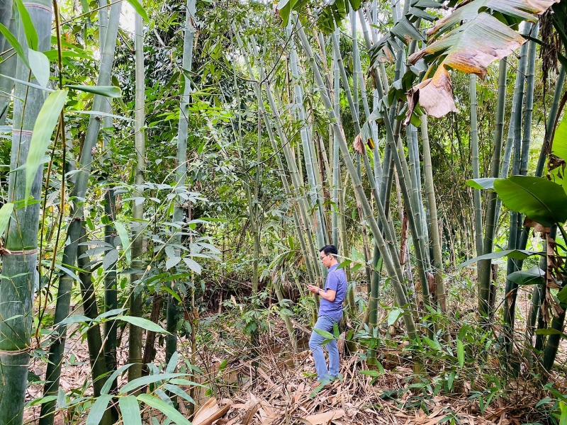 Chốn đi về rộng 6000m2 ở Vũng Tàu của cặp vợ chồng 8X chon di ve rong 6000m2 o vung tau cua cap vo chong 8x