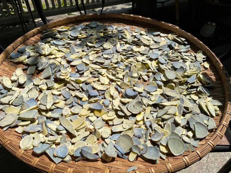 Chốn đi về rộng 6000m2 ở Vũng Tàu của cặp vợ chồng 8X chon di ve rong 6000m2 o vung tau cua cap vo chong 8x