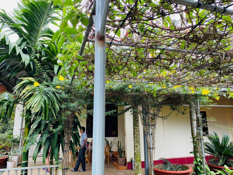 Chốn đi về rộng 6000m2 ở Vũng Tàu của cặp vợ chồng 8X chon di ve rong 6000m2 o vung tau cua cap vo chong 8x