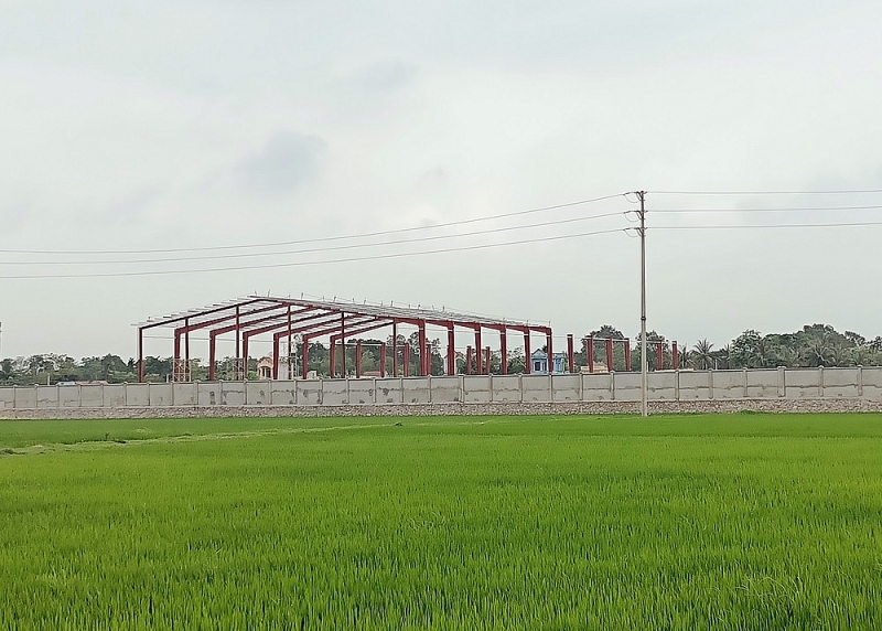 thanh hoa chiem dat nong nghiep cong ty lam kinh bi phat 120 trieu dong