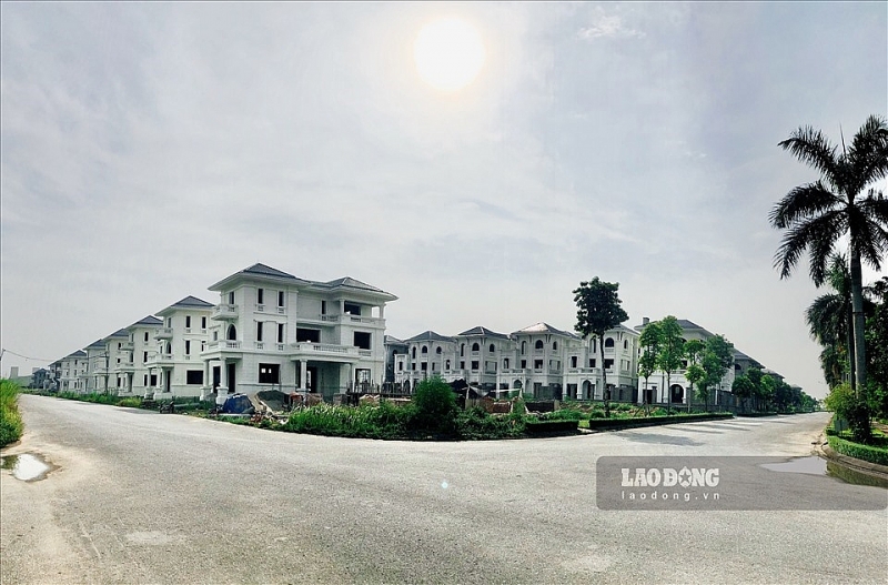 khong de danh thue biet thu bo hoang