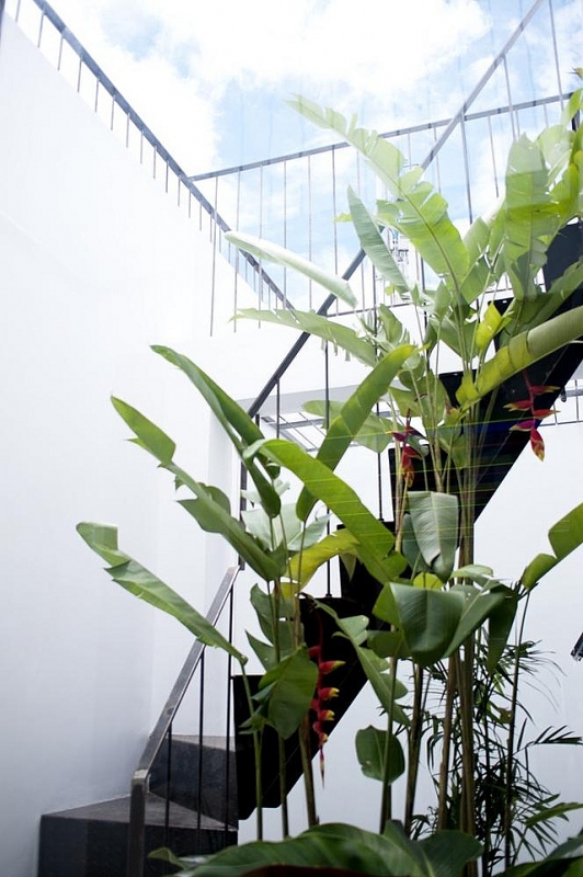 Nhà có mặt tiền "độc": Ngày chắn nắng, tối lên đèn thành tranh vẽ lung linh nha co mat tien doc ngay chan nang toi len den thanh tranh ve lung linh