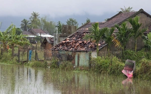 B&agrave;i 1: Phục hồi v&agrave; ph&aacute;t triển n&ocirc;ng nghiệp bền vững