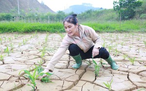 B&agrave;i 2: Hỗ trợ phục hồi sản xuất, kh&ocirc;ng để 