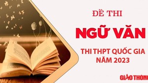 Gợi ý đáp án môn GDCD mã đề 317 tốt nghiệp THPT Quốc Gia 2023- Ảnh 2.