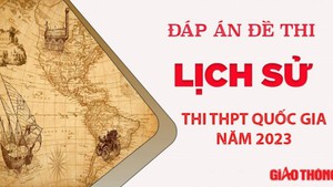 Đáp án đề thi môn Tiếng Anh THPT Quốc gia 2023 Full mã đề- Ảnh 27.