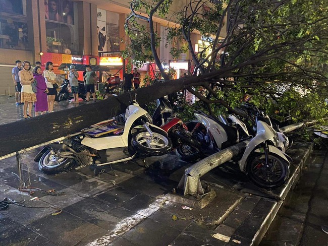 Mưa lớn khiến cây cổ thụ đổ đè trúng 2 xe sang trên phố ở Hà Nội- Ảnh 3.